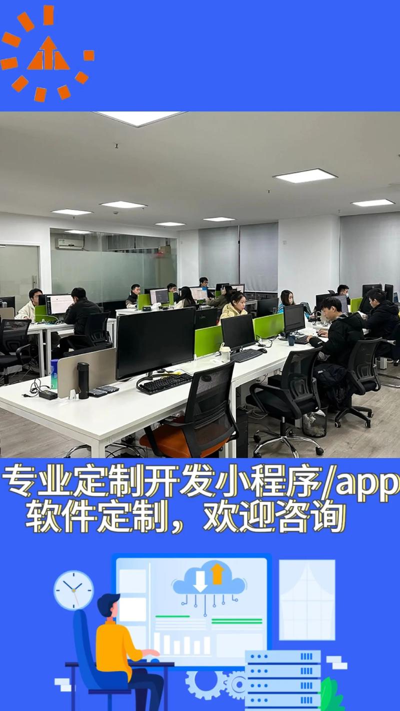 软件开发咨询